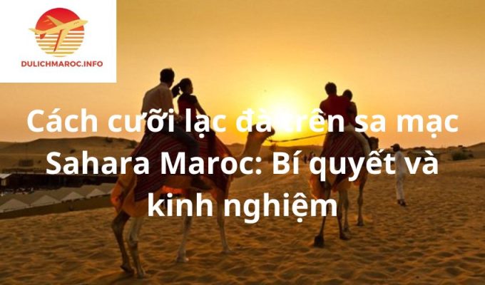 Cách cưỡi lạc đà trên sa mạc Sahara Maroc: Bí quyết và kinh nghiệm