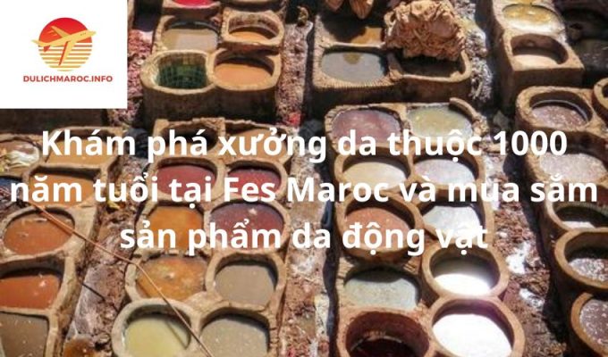 Khám phá xưởng da thuộc 1000 năm tuổi tại Fes Maroc và mua sắm sản phẩm da động vật